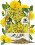 Needs Dandelion Seeds For Planting Fresh Medium Pack, Yellow. Fixed Price $17.99.
