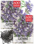 Needs Catmint Seeds For Planting Indoor/outdoor Herb 2 Packs, Blue. Fixed Price $16.70.