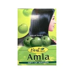 Hesh Amla Powder For Hair Gift Of Nature Pure Natural & Safe 100G. Fixed Price $7.98.