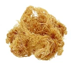 Organic Whole Leaf Irish Moss Sea Raw Wildcrafted Superfood- 8 Oz. Fixed Price $40.00.