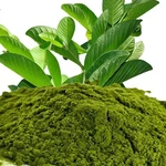 Leaf Of Life Powder Bryophyllum Pinnatum Miracle 100G Free Shipping. Fixed Price $19.99.