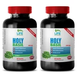 Holy Basil Capsules - Extract 750MG Boost Endurance 2B. Fixed Price $34.28.