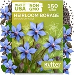 Kviter 150 Borage Seeds (borago Officinalis) - Blue Strawflower, Edible. Fixed Price $11.43.