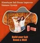 Himalayan Salt Bricks 8X4X2 Pack Of 50 For Spa Sauna Walls And Home Improvement. Fixed Price $379.05.