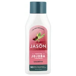 Jason Pure Natural Long And Strong Jojoba Shampoo, 16 Fl Oz. Fixed Price $24.12.