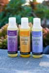 Plantlife Massage Oil 4 Oz- Variety Scents, Silky Skin, Light Aroma, Made Ca. Fixed Price $12.00.