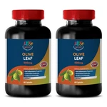Antiaging Skin Care - Olive Leaf Extract 500MG 2B Brain Memory Booster. Fixed Price $34.30.