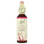Original Flower Remedies, Larch, 0.7 Oz (20 Ml). Fixed Price $18.11.