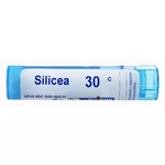 Boiron Silicea 30C, Homeopathic Medicine For Fatigue, 80 Pellets. Fixed Price $11.49.