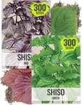 Seed Needs Shiso Green & Red Collection - 2 Individual Packets. Fixed Price $9.99.