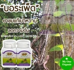 Thanyaporn Herbs Compound Boraped Capsule Healthy Thailand Goods. Fixed Price $59.59.