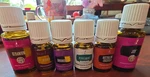 Lot Of 12 Young Living Essential Oils Bottles Both Sealed And Open 6 New Used. Fixed Price $99.00.