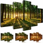 Canvas Print Forest Nature Framed Wall Art Picture Photo Image B-B-002. Fixed Price $68.99.