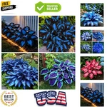 Mixrug 150+ Hostas Seed Midnight Blue For Planting Outdoors-rare Mixed. Fixed Price $11.94.