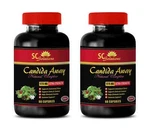 Wormwood Energy Health - Candida Away Wellness Cleanse 2BOT. Fixed Price $34.16.