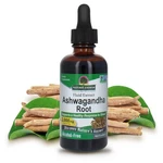 Natures Answer Ashwagandha Root Herbal Supplement Maintain Healthy Immune F.... Fixed Price $35.05.