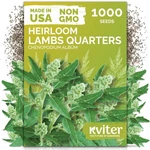 Kviter 1000 Lambs Quarters Seeds (chenopodium Album) - Goosefoot, Wild Green. Fixed Price $15.99.