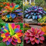 Mixrug 220+ Mixed Color Seeds For Planting - Rare. Fixed Price $13.61.