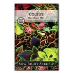 Sow Right Seeds - Rainbow Mix Coleus For 1 Standard Packet,. Fixed Price $11.25.