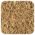 Starwest Botanicals Organic Cumin Seed 1 Lb 453 6 Kosher,. Fixed Price $23.85.