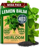 Lemon Balm Pack 403 Nongmo Usa Heirloom Herbal Tea Seeds Bulk For Plan.... Fixed Price $18.48.