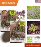 Attractive Heirloom Wild Creeping Thyme Seeds 40K Count For Aesthetic Gardens. Fixed Price $13.99.
