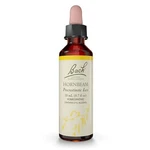 Bach Hornbeam Flower Essence 0.7 Oz Homeopathic Stress Relief Remedy. Fixed Price $24.49.