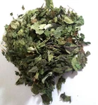 1 Oz. Mexican Dream Herb (calea Zacatechichi) Wildharvested Mexico. Fixed Price $7.49.