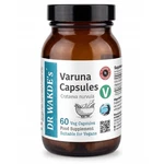 Dr Wakde's Varuna Capsules (crataeva Nurvula) 60 Veg Ayurvedic. Fixed Price $29.95.