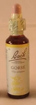 Bach Flower Remedies, Gorse 20ML. Bbe 02/2030. Fixed Price $12.08.