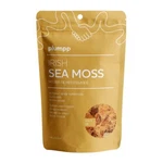 Plumpp Irish Sea Moss Gold 1.4OZ (pack Of 3). Fixed Price $58.99.
