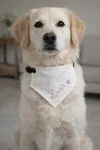 Personalized Dog Bandana Collar Hand Embroidered Name White Adjustable. Fixed Price $25.00.