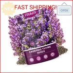 Fruivity 20000+PCS Creeping Thyme Seeds For Planting, Non-gmo Perennial Ground. Fixed Price $15.16.