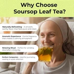 Soursop Leaves- 200-250 Dried Whole Leaves, Hojas De Guanabana, Gravi.... Fixed Price $16.95.