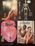 Kids Discover Magazine Body Systems Science Lot Of 4 Heart, Lungs, Bones, Muscle. Fixed Price $8.00.