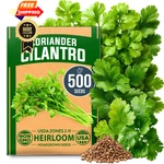 Home Grown Non Gmo 500+ Cilantro Seeds For Planting Indoors 1-PACK, Multi. Fixed Price $18.99.