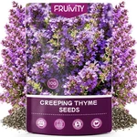 Fruivity 20000 Pcs Creeping Thyme Seeds For Planting Perennial Ground Cover. Fixed Price $14.40.