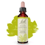 Bach Original Flower Remedies White Chestnut Calm The Mind 0.7 Oz 20ML. Fixed Price $18.65.