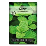 Sow Right Seeds - Mint For Planting Non Gmo Heirloom Perennial. Fixed Price $8.79.