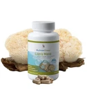 Mushroomscience Lion's Mane Full Spectrum Extract 90 Vegetarian Capsules 300MG. Fixed Price $18.50.