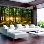 Forest Nature Photo Wallpaper Non-woven (fleece)/self-adhesive Foil C-B-0027-A-B. Fixed Price $52.99.