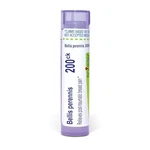 Boiron Bellis Perennis 200CK For Post-traumatic 80 Count (pack Of 1), Purple. Fixed Price $16.27.