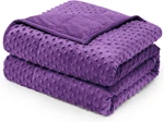 Minky Dot Weighted Blanket 15LBS For Adults - Stress Relief & Sleep Aid, Purple. Fixed Price $94.99.