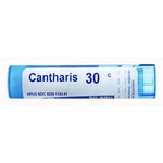 Boiron Cantharis 30C, Homeopathic Medicine 4 Blisters W/burning PAIN,80PELLETS. Fixed Price $11.95.