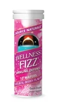 Source Naturals Wellness Fizz, Berry Flavor - 10 Count (pack Of 1). Fixed Price $13.38.