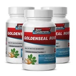 Yellow Root - Goldenseal Hydrastis 520MG Immune System Recovery 3B. Fixed Price $53.55.