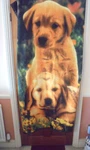 2 Blankets For Children's Room 1 Orange With Dog Picture.& White Soft. Fixed Price $13.46.