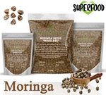 Moringa Oleifera Seeds Wingless Fresh Organic Semillas De Bulk Wholesale. Fixed Price $31.10.