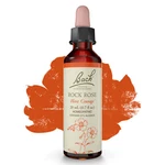 Bach Original Flower Remedies Rock Rose Have Courage 0.7 Oz 20ML. Fixed Price $18.65.