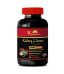 Antiaging Skin Care - Kidney Cleanse Complex Nettles Tea 1 Bottle. Fixed Price $20.90.